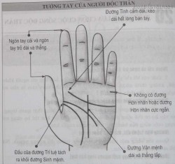 Xem tướng tay để biết bạn có lựa chọn cuộc sống độc thân hay không?