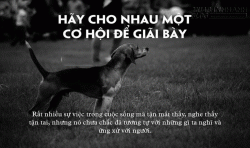 Hãy cho nhau một cơ hội để giãi bày
