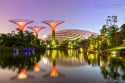 Du lịch tự túc Singapore: Lịch trình khám phá trong 4 ngày