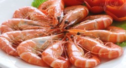 Mẹo ăn hải sản không bị ngộ độc ai cũng nên biết