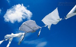 Cách tẩy vết mốc trên áo trắng