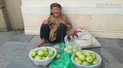 Chuyện không ngờ về cụ bà 90 tuổi đi xe buýt bán ổi