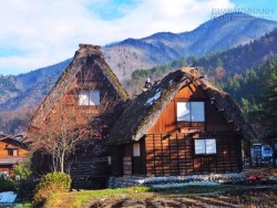 Hành trình tới ngôi làng đẹp như tranh ở Nhật Bản