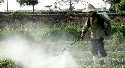 Người Việt bị đầu độc bằng thực phẩm bẩn như thế nào?