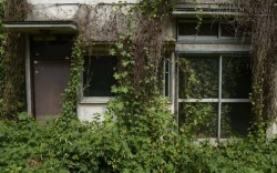 Nhà ma giá rẻ ngày một nhiều tại Nhật