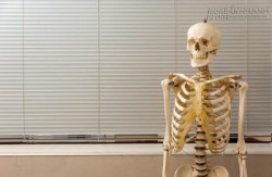 Suốt 40 năm giảng dạy bằng... xương người