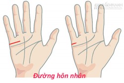 Độ dài đường hôn nhân nói gì về bạn?