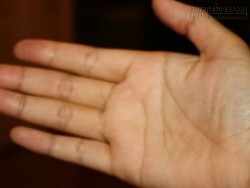 Dự báo số phận sướng khổ qua những đường chỉ tay đặc biệt