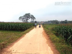 Sự thật tin liên quan đến bắt cóc trẻ em trên mạng ảo