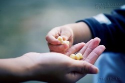 Được và mất ở đời, dũng cảm đối mặt là con đường sáng suốt