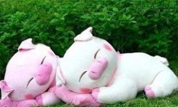 Top 3 con giáp hóa giải vận xui cho người yêu năm 2016