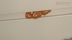 Kinh hãi khi phát hiện thứ giống ngón tay người lấp ló trên trần nhà