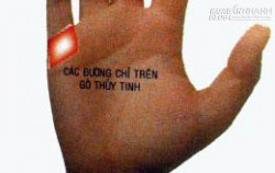 Đường chỉ tay trên gò Thủy Tinh tiết tộ tính cách, tài năng