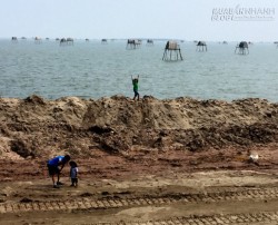Bữa trưa bên bờ biển Đồng Châu