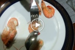 Bí kíp thần thánh giúp lột vỏ tôm chỉ trong 3 giây bằng nĩa
