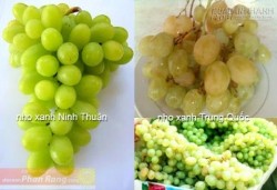 Cách nhận biết hoa quả Việt Nam để chọn mua ngay tại chợ