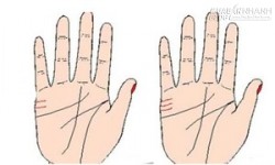 Đường chỉ tay hôn nhân nói gì về hạnh phúc của bạn