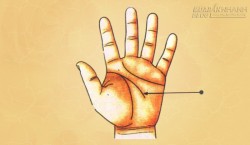 Xem chỉ tay đường công danh, sự nghiệp và tiền tài