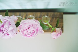 Lọ hoa cá tính làm từ gỗ + ống nghiệm