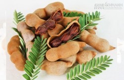 Bị những bệnh sau chỉ cần ăn quả me là khỏi