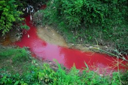 Sự thật bất ngờ về bí mật dòng suối máu ở Điện Biên