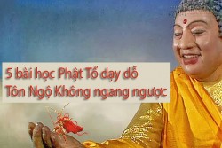 5 bài học Phật Tổ dạy dỗ Tôn Ngộ Không ngang ngược và triết lý rút ra
