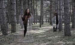 Sửng sốt với công nghệ áo choàng giúp con người tàng hình