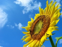 Đừng bận tâm về những điều người ta nói xấu sau lưng bạn, hãy tin vào trái tim mình