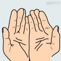 Khám phá chính mình qua các đường chỉ tay