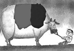 Quà tặng cuộc sống – Câu chuyện Hai người trộm bò