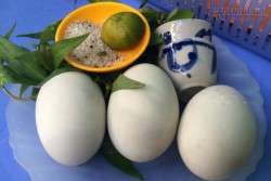 Trẻ em dưới 9 tuổi không nên ăn trứng vịt lộn