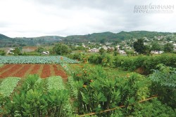 Hang động Pindaya - điểm đến thú vị ở miền Đông Myanmar