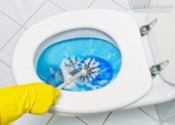 Mẹo khử mùi hôi cho nhà vệ sinh