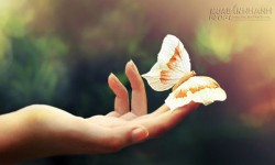 Sắc thái bàn tay nói lên điều gì về con người bạn?