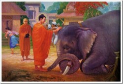 Từ bi với chính mình