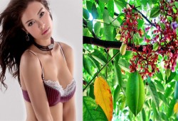 Ngực đẹp bằng 3 cách trong dân gian chị em chưa biết