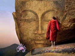 Học sống với những nghịch duyên bất trắc