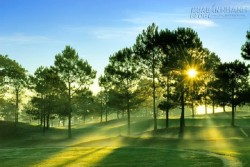 Về phố núi Gia Lai thưởng ngoạn ngày đầu năm