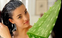 Khám phá thêm phương pháp chữa rụng tóc trong dân gian