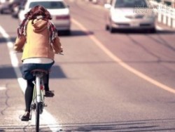 Câu chuyện con lừa rơi xuống đáy giếng và bài học cuộc sống đáng suy ngẫm