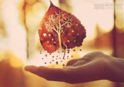 Lòng người là giấy chẳng phải vàng ròng, đừng dại dột đem đi thử lửa