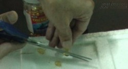 Nguyên Cục trưởng trực tiếp bẻ viên dầu cá Omega-3 để thử nghiệm: Kết quả bất ngờ!