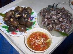 Món ăn bài thuốc chữa bệnh từ ốc