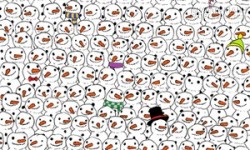 Thử tài tinh mắt của bạn với bộ ảnh tìm gấu Panda