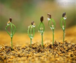 7 điều tôi đã học từ cuộc sống