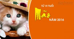 Tử Vi Vận Mệnh Trọn Năm 2016 Của Người Tuổi Mão