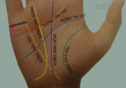 Đường hôn nhân nói gì về tuổi kết hôn, con cái sau này của bạn?