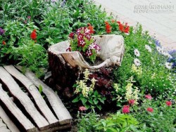 Kết hợp gốc cây trong trang trí sân vườn