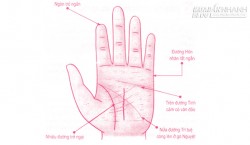 Xem bói chỉ tay đoán vận mệnh của người chỉ yêu đơn phương