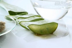 5 cách thần kỳ giúp bạn hết nhiệt và lở miệng chỉ sau 1 đêm